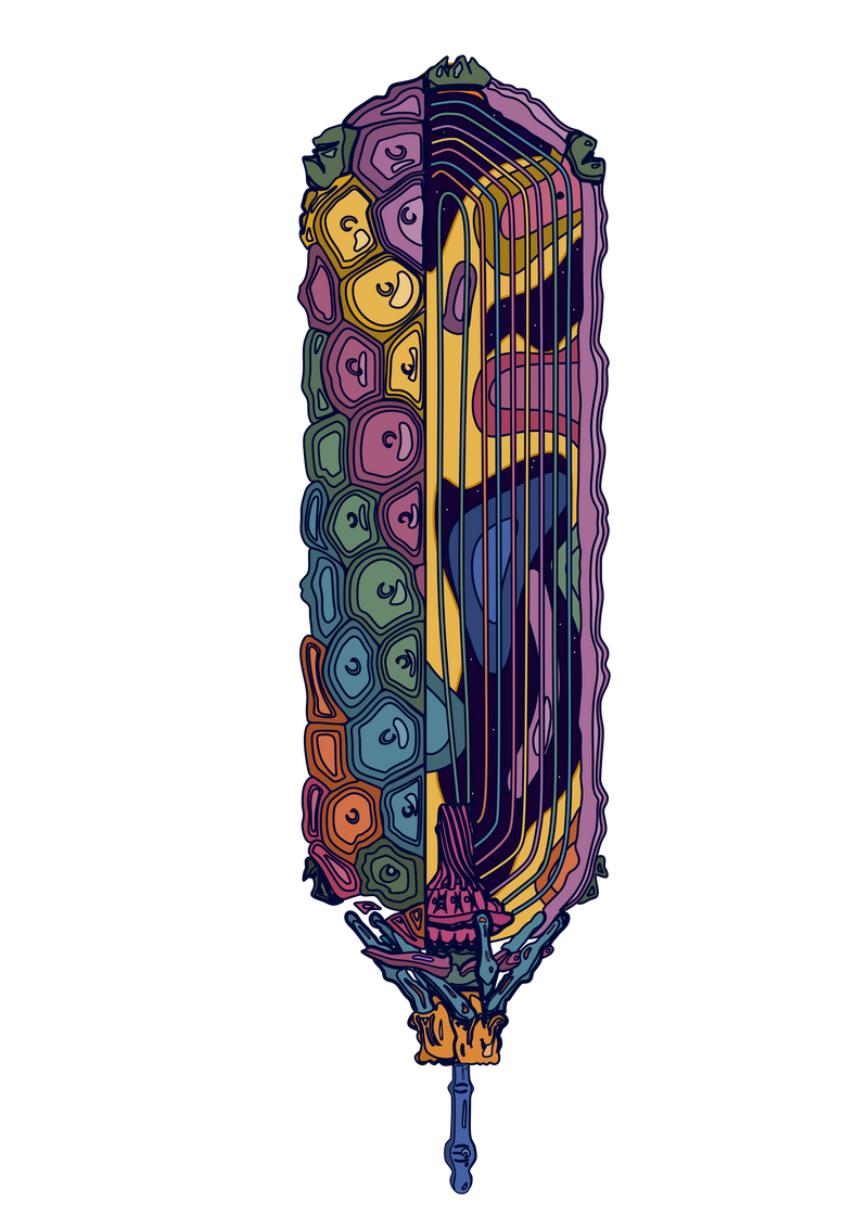 Phage SU10
