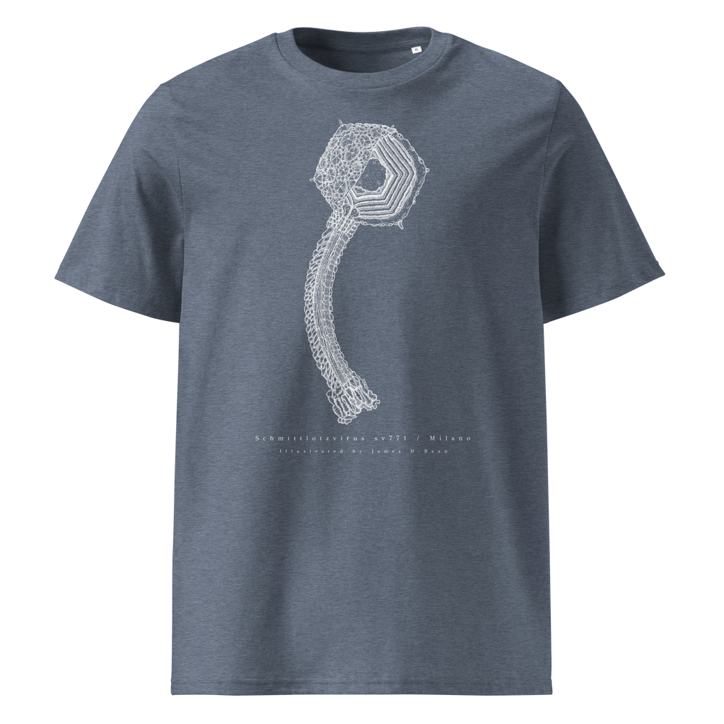 Schmittlotzvirus sv771 / Milano HD Tee