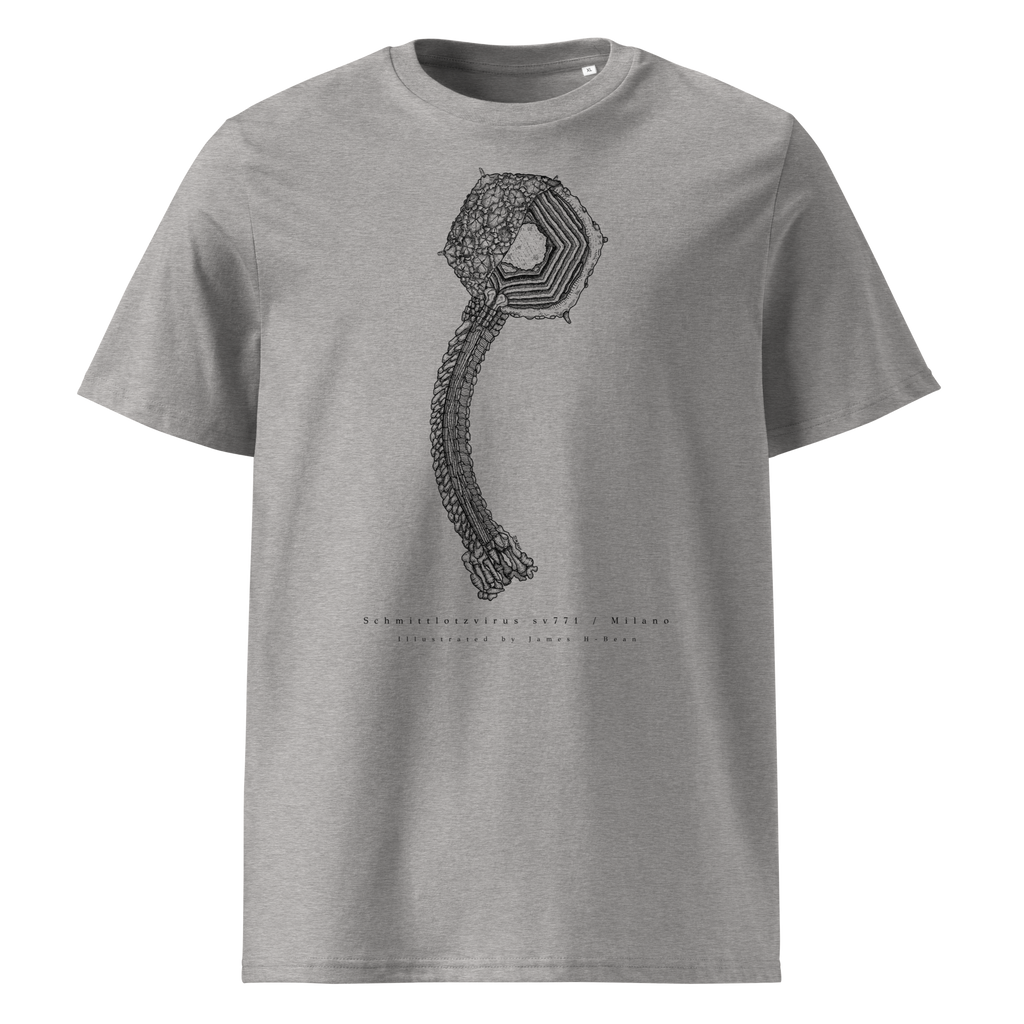 Schmittlotzvirus sv771 / Milano HD Tee