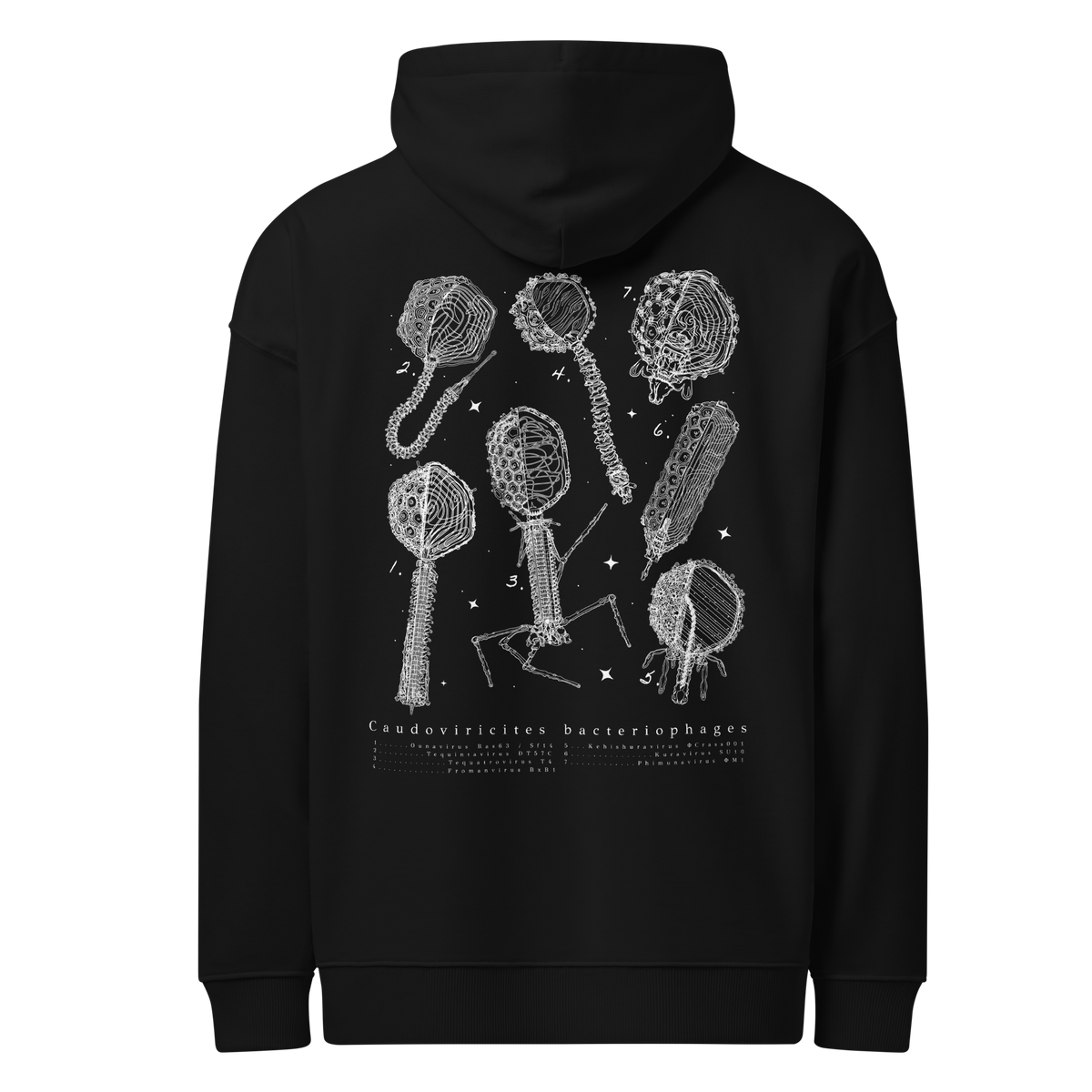 Virion Phage Chart Hoody - 2026
