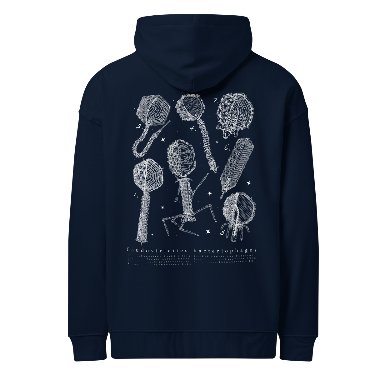 Virion Phage Chart Hoody - 2026