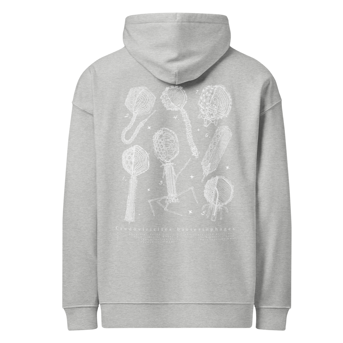 Virion Phage Chart Hoody - 2026